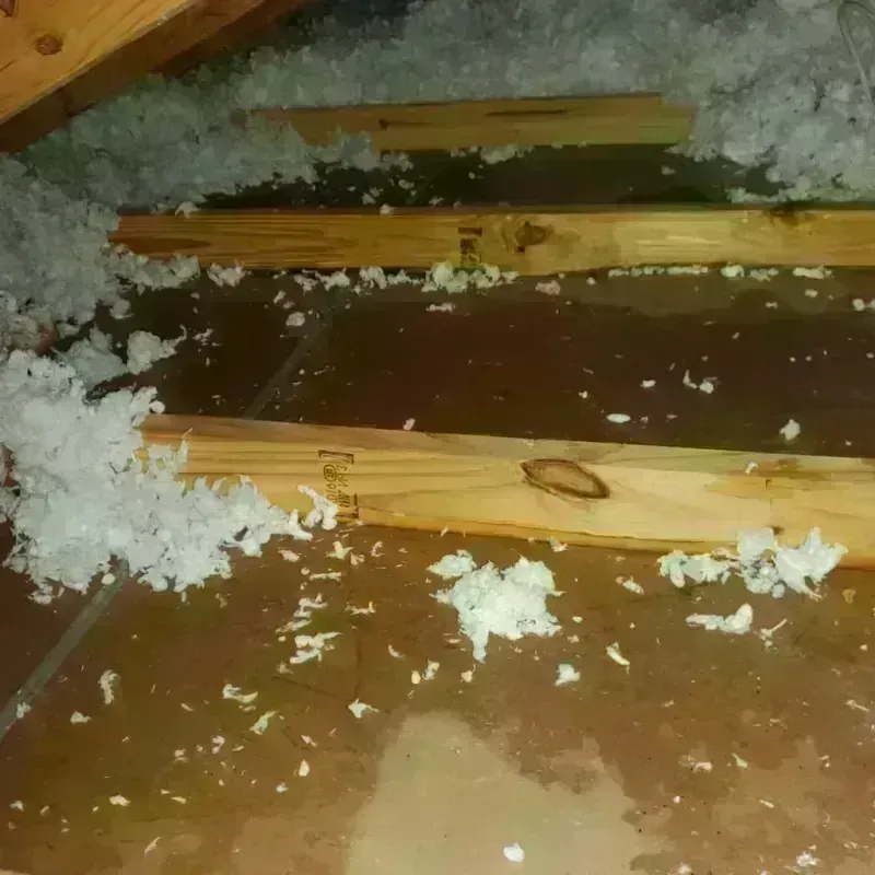 Attic Water Damage in Moore County, TX