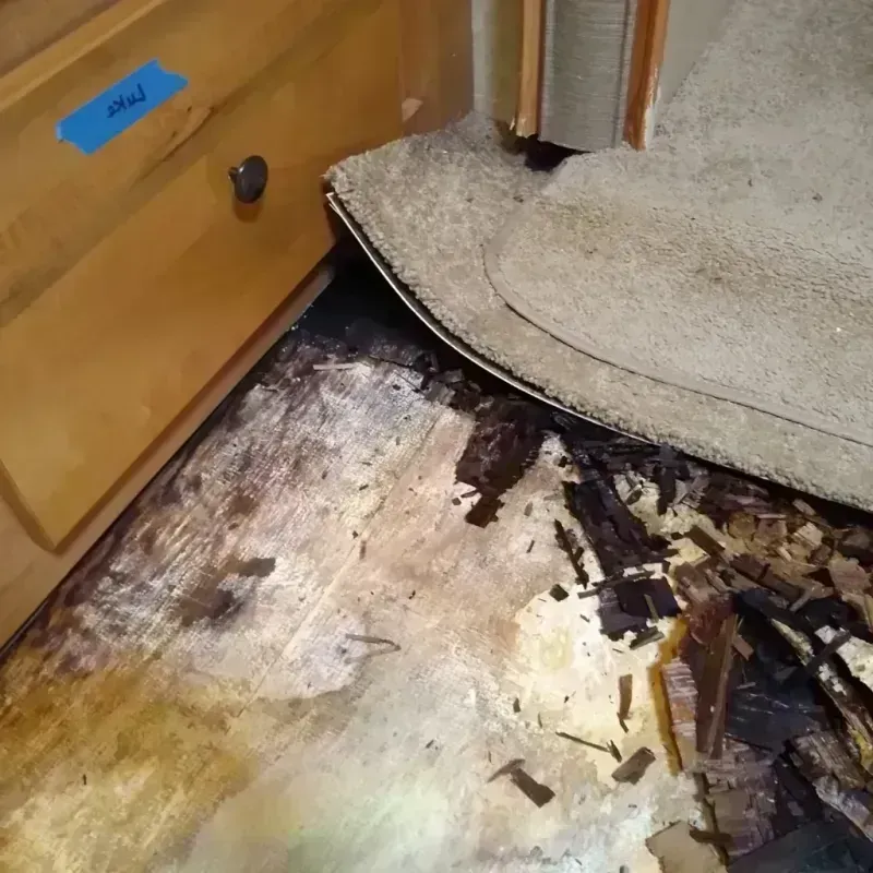 Wood Floor Water Damage in Moore County, TX